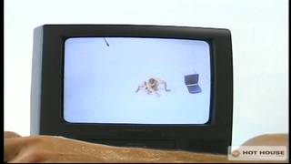 Verifique a sua idade