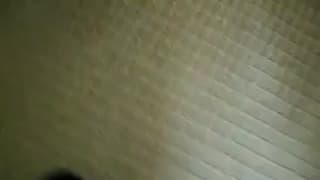 Verifique a sua idade