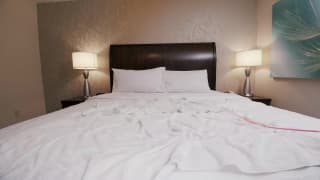 Verifique a sua idade