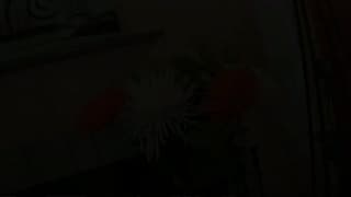 Verifique a sua idade