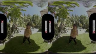 A realidade virtual permite que você aprecie este jardim A realidade virtual permite que você aprecie este jardim