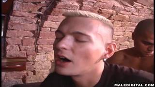 Verifique a sua idade