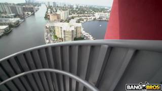 Verifique a sua idade