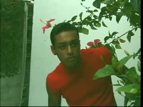 Verifique a sua idade