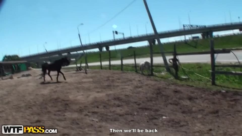 Verifique a sua idade