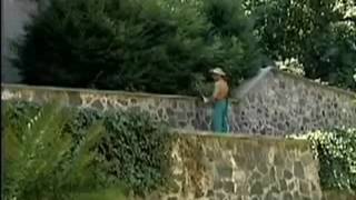 Verifique a sua idade