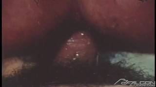 Um pornô gay vintage com Mac Turner e Eric Nolte nus Um pornô gay vintage com Mac Turner e Eric Nolte nus