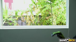 Verifique a sua idade