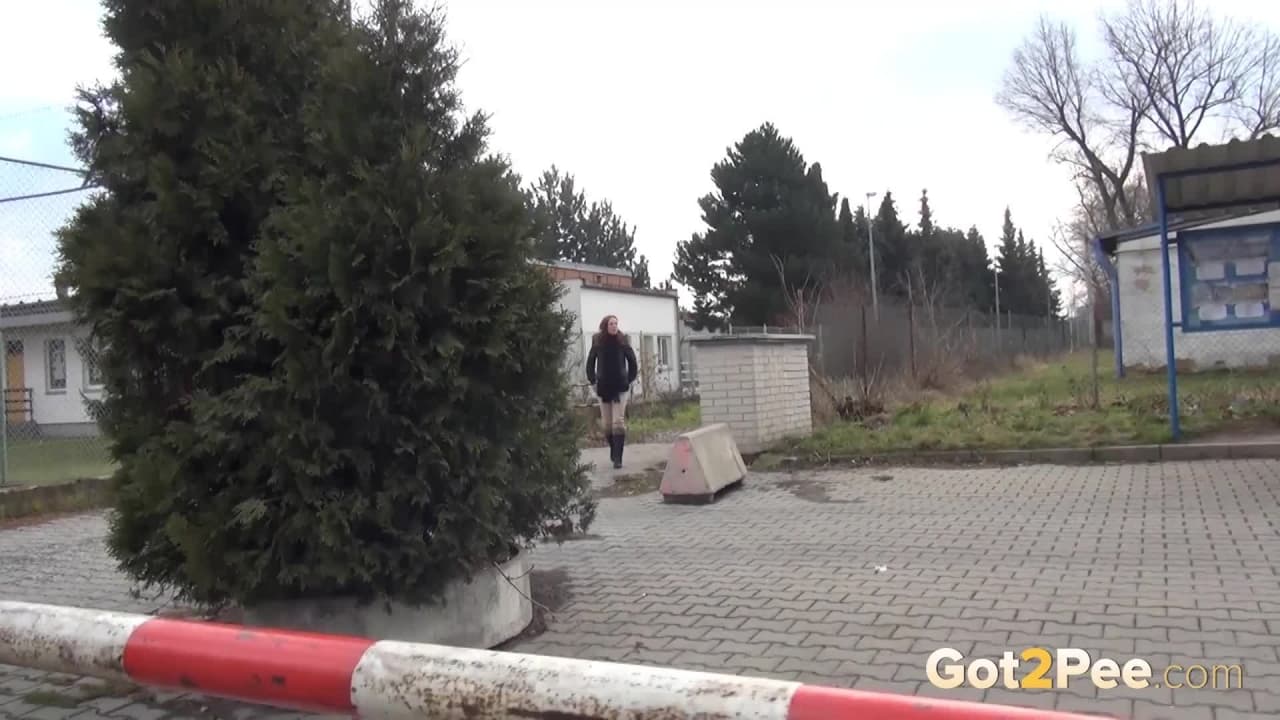 Verifique a sua idade