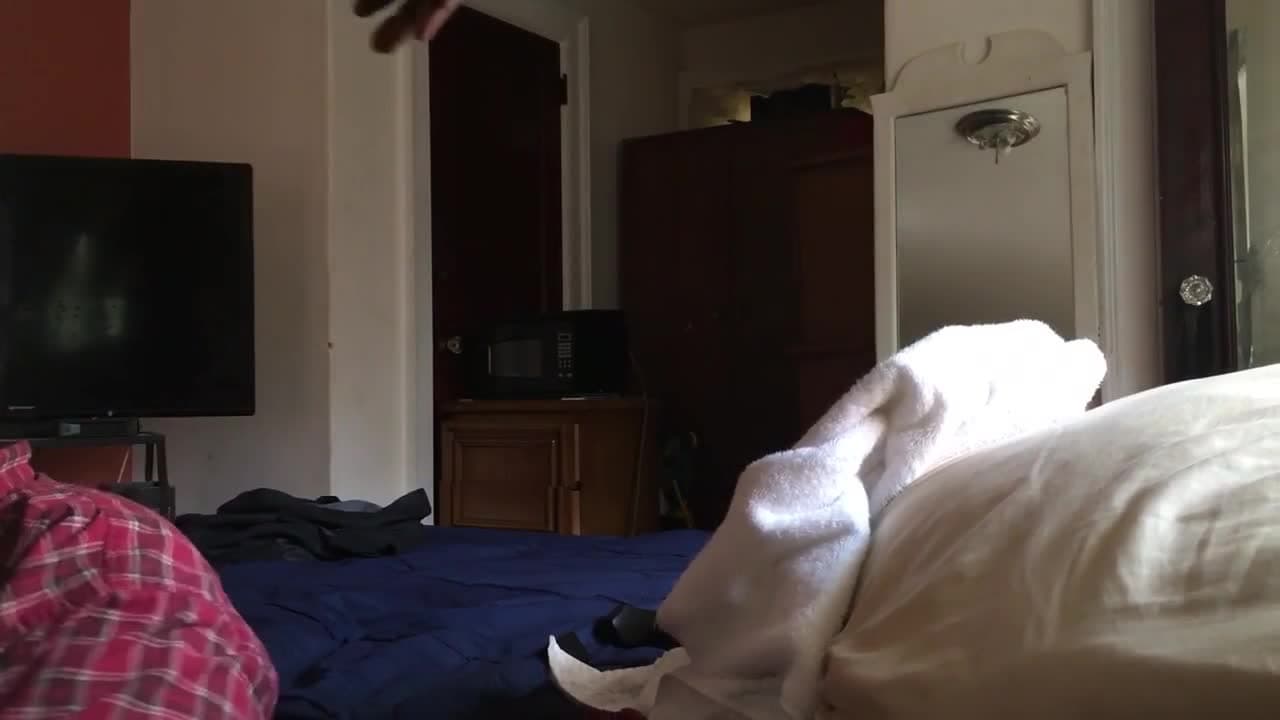 Verifique a sua idade