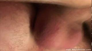 Joshua Rodgers, Rick Bauer, Zsolt Kolumbiai em um trio quente Joshua Rodgers, Rick Bauer, Zsolt Kolumbiai em um trio quente