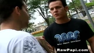 Verifique a sua idade