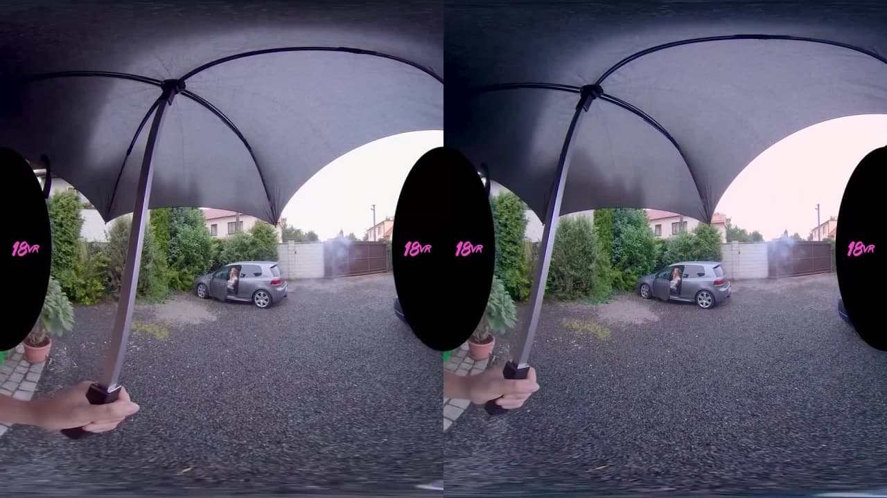 Verifique a sua idade