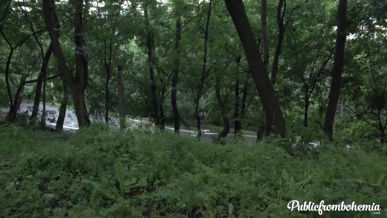 Verifique a sua idade