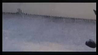 Verifique a sua idade