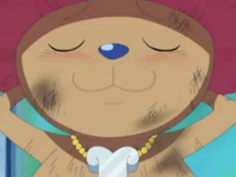 Verifique a sua idade