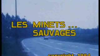 Verifique a sua idade