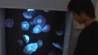 Gays orientais jovens e quentes que não gostam de foder Gays orientais jovens e quentes que não gostam de foder