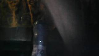 Este homem peludo se enfia seu grande vibrador Este homem peludo se enfia seu grande vibrador