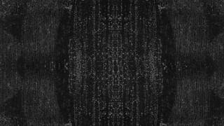 Jovem shemale a foder com uma mulher madura