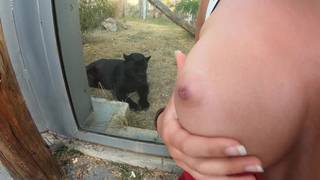 Esse casal fica excitado no zoológico e ele ejacula nos peitos dela Esse casal fica excitado no zoológico e ele ejacula nos peitos dela