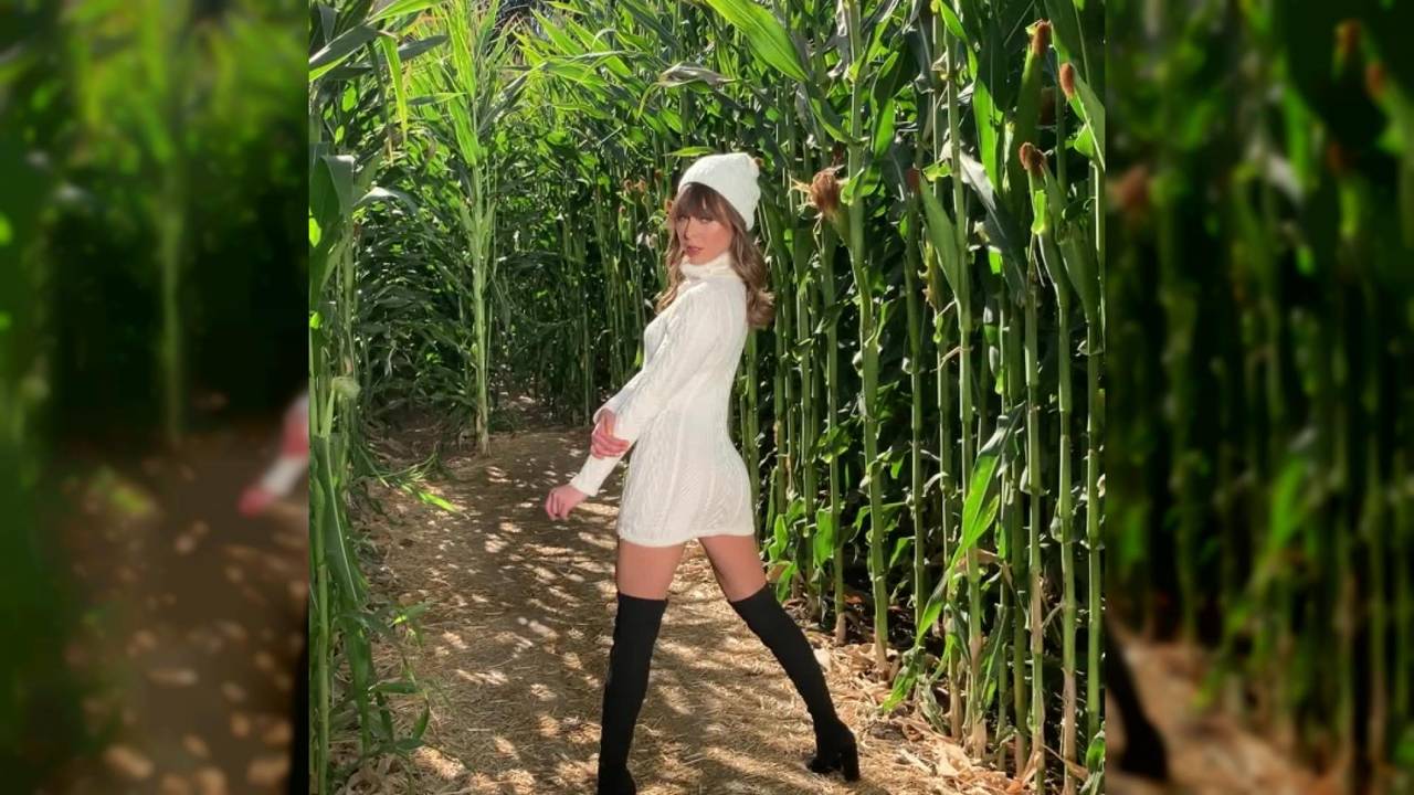 Verifique a sua idade