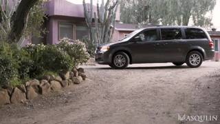 Verifique a sua idade