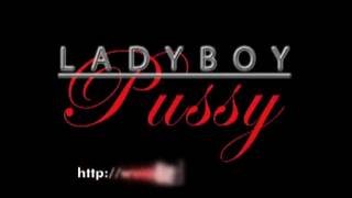 Um ladyboy sexy tem sua nova buceta cheia de pênis