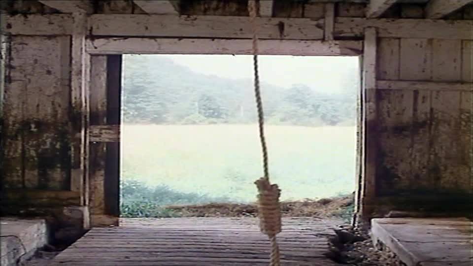 Verifique a sua idade