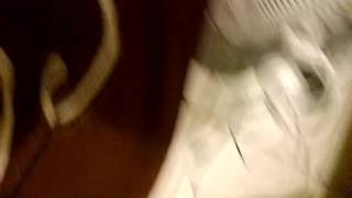 Sextape em close-up 100% amador