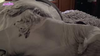 Victoria Alouqua faz sexo oral e fode Victoria Alouqua faz sexo oral e fode