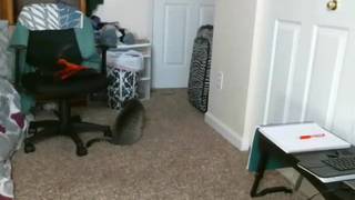 Verifique a sua idade