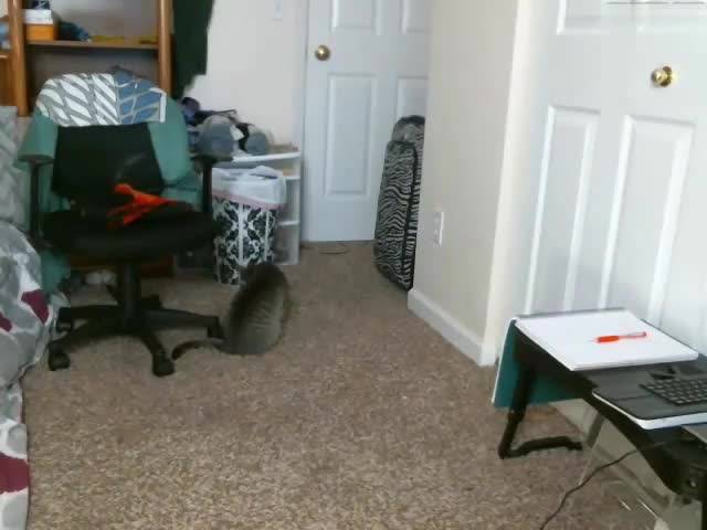 Verifique a sua idade