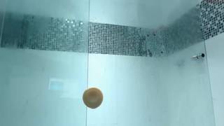 Verifique a sua idade