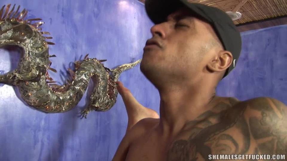 Verifique a sua idade