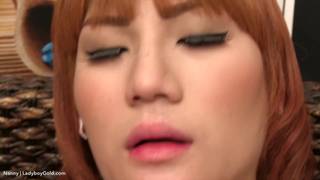 Verifique a sua idade