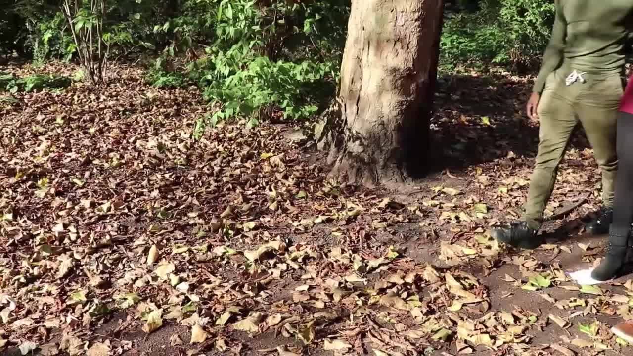 Verifique a sua idade