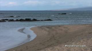 Gay asiático toma um banho de sol nu no Havaí