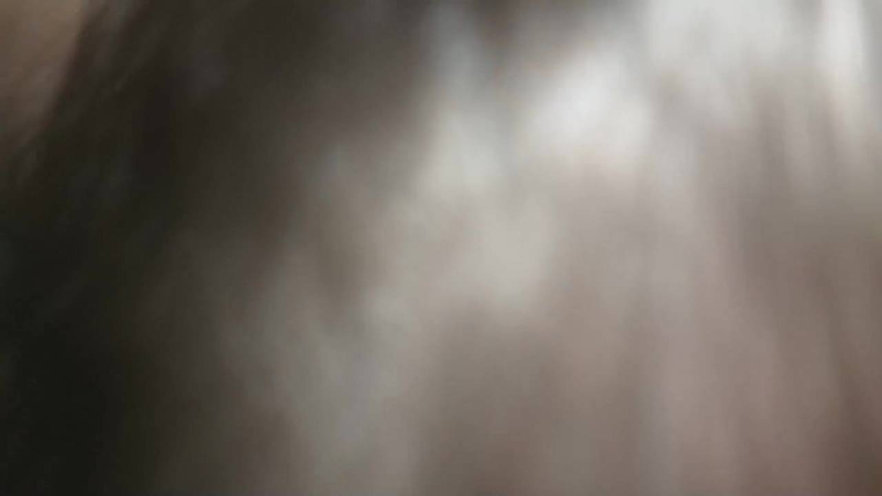 Verifique a sua idade