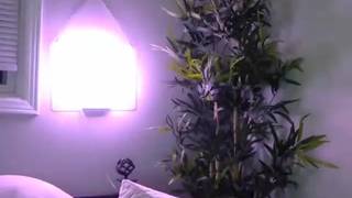 Verifique a sua idade