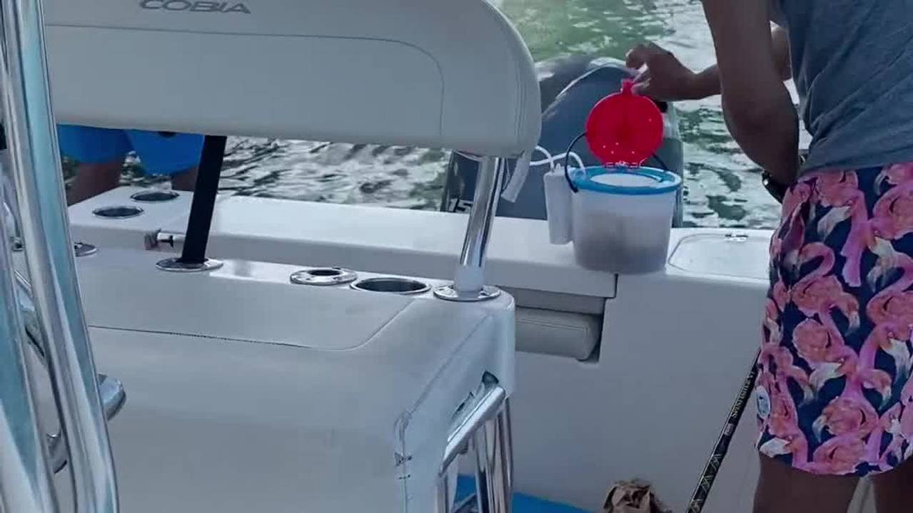 Verifique a sua idade