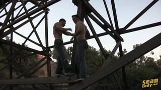 Verifique a sua idade