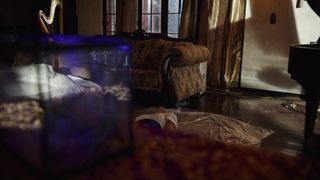 Verifique a sua idade