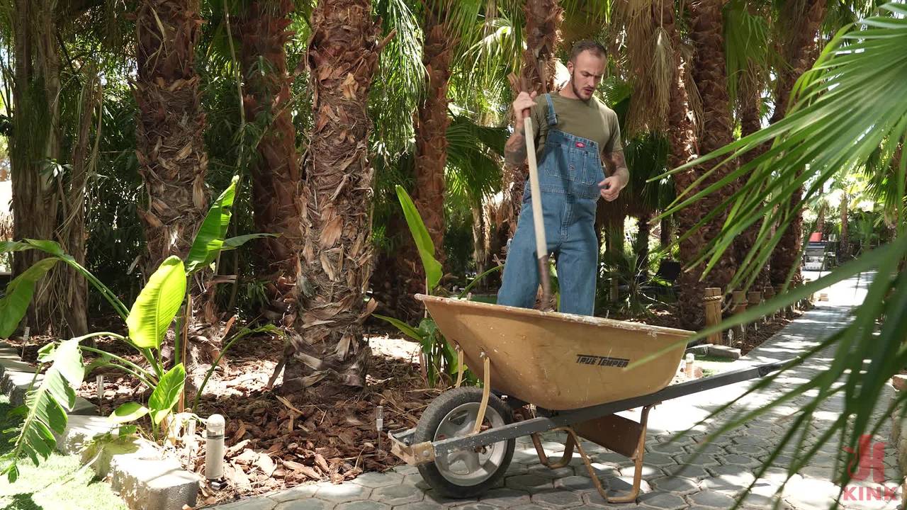 Verifique a sua idade