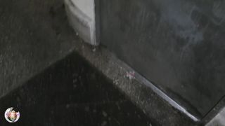 Verifique a sua idade