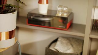 Verifique a sua idade