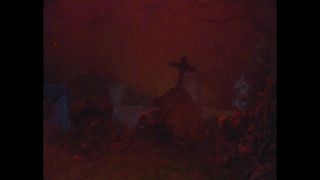 Verifique a sua idade